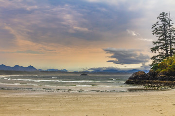 Fototapeta premium Tofino beach - Vancouver Island, British Columbia, Canada
