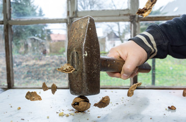 crack nuts with a hammer, nuts fly through the air