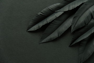 Fototapeta na wymiar The feathers of a bird made of black paper on black background. Black on black