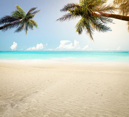 Obraz na płótnie Canvas summer background of beach and warm yellow sand 