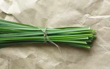 Lemon Grass (Cymbopogon citratus, Capim Limao, Santo). Pile of fresh Lemongrass. Sprigs of natural lemongrass, fresh herb, herbal medicine. Selective focus, closeup