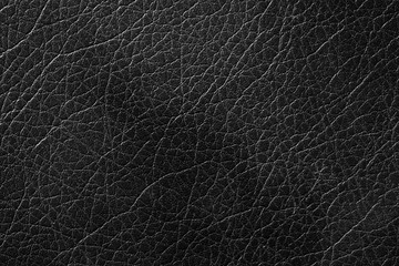 Fototapeta premium Close up shot of surface of furniture leather texture for background or devices wallpapers. Abstract design, usual, natural materials. Detailed grungy artwork. Copyspace, advertisement. Vintage style.