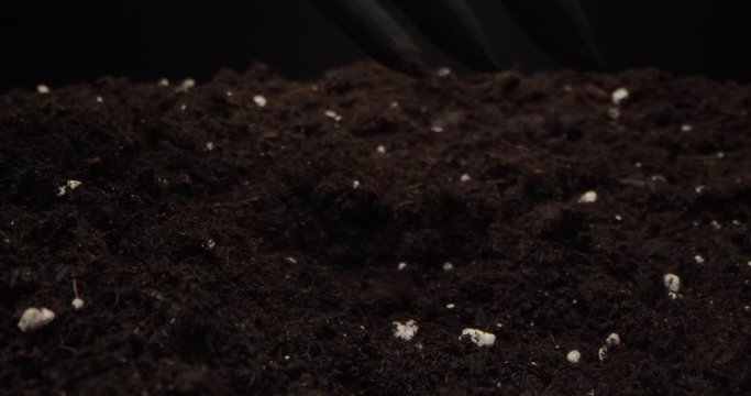 Directions over black soil that is cultivated, fluffed up with a garden rake