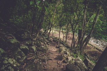 Forest river stones landscape,beautiful panoramic view of the river in Bridge of God and Waterfalls of Tamasopo san luis potosi mexico