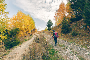 Fototapeta premium Woman is hiking in colorful nature scenic of forest and hills.