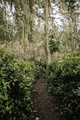Deception pass state park in Washington State