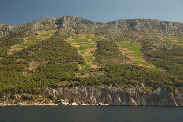 Sveta Nedjelja, island Hvar, Croatia