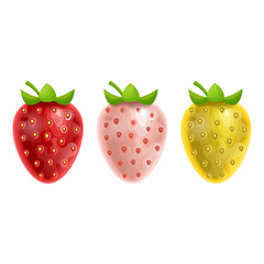 Set of white red and yellow strawberries isolated on white background, vector illustration in cartoon style