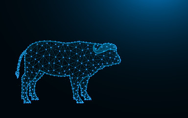 Buffalo made from points and lines on dark blue background, bull wireframe mesh polygonal vector illustration