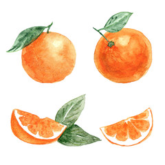 Set of oranges with leaf and orange slices, watercolor illustration isolated on white background, packaging design element.