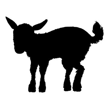 Silhouette of Baby Goat. Vector Side View Illustration