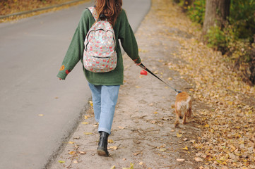 Woman with american cocker spaniel walks at autumn park.