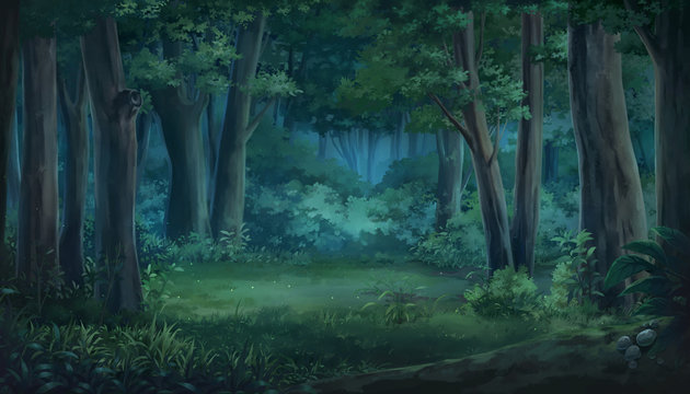 Anime Forest At Night Wallpapers  Wallpaper Cave