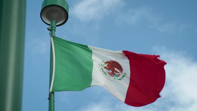 Flag of Mexico waving in the wind
