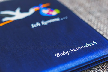 blaues Baby Stammbuch im Auschnitt