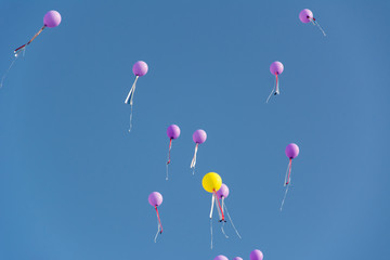 Balloons of various colors were released into the sky to celebrate graduation.