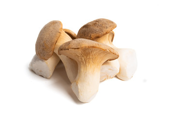 eringi mushrooms isolated