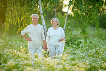 Beautiful caucasian senior couple in the park