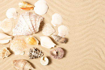 Fototapeta na wymiar Sand on beach, seashell, background. Summer concept. Flat lay, top view, copy space