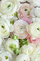 Elegance ranunculus background. Beautiful flowers composition in pastel colors: white and light pink. Perfectly for Birthday Women's and Valentine's Day Anniversary. Top view.