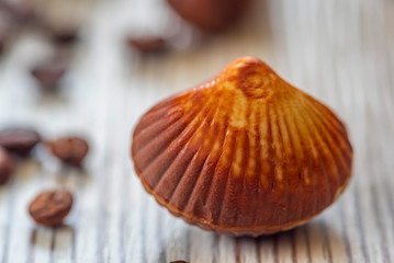 Swiss chocolate shaped shells on a dark wooden background.