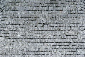 Texture of old wood shingles