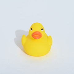 close-up of toy yellow duckling on white background