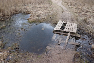 pathway in forest with wooden timer in puddle
