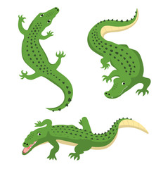 Green alligators set wild animal vector isolated - obrazy, fototapety, plakaty