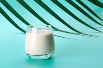 Coconut or almond milk on blue background with palm leaf