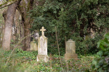 gravestones on a former cemetery with old trees in the background