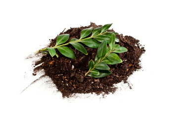 pile of land isolated on white background