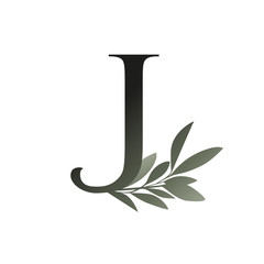 Olive branch on capital letter isolated on white background.
