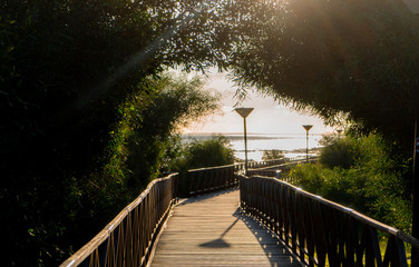 hidden path ro paradise wooden bridge