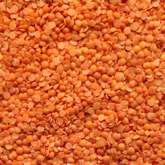 Tileable Food Texture Made out of Photography