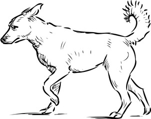 Outline sketch of walking guard dog