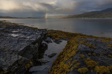 rainbow at the fjord