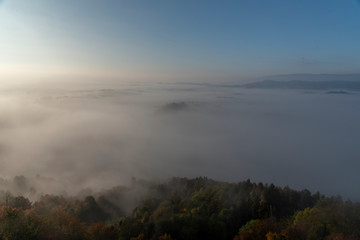 Obraz premium Wine Road, Svečina, Slovenia