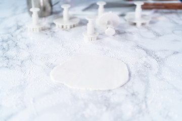 Fondant snowflake shapes