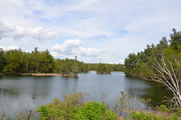 Fototapeta na wymiar lake or river water and trees at Canada United States border