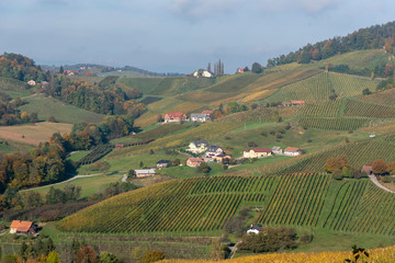 Fototapeta premium Wine Road, Svečina, Slovenia