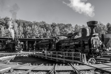 Fototapeta na wymiar meeting of operating steam locomotives in historical depot