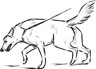 Outline sketch of walking guard dog on a leash