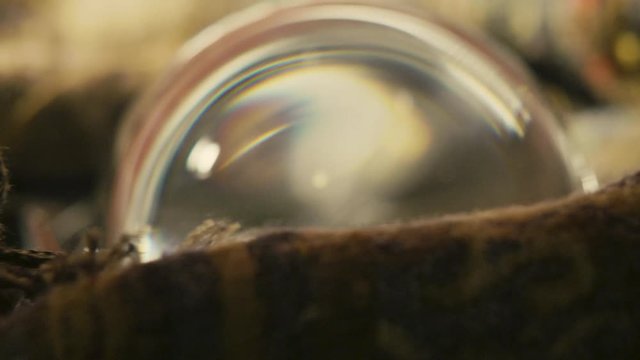  Amazing crystal ball in scarf mystic 4K Visual Resource high res graphic resource explainer video background with copy space for text or image	