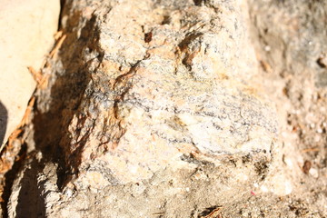  large beige stones, texture, outdoors in summer