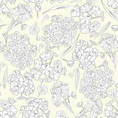 elegant floral seamless pattern. Vintage monochrome phlox flowers on a light background. Spring; summer holidays presents and gifts wrapping paper; For textiles; packaging; fabric; wallpaper.