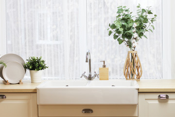 .large kitchen sink by the window. a tray with plates, a vase with branches of eucalyptus and...