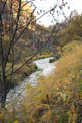 mountain river on a background of autumn foliage