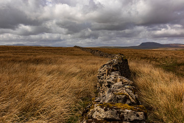Dry stone wall across the Moors