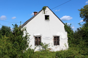 Fototapeta na wymiar Side view of abandoned small white suburban family house with broken windows and dilapidated facade covered with old roof tiles completely surrounded with overgrown crawler plants and various vegetati
